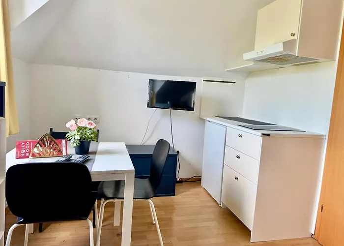 Cosy Budget Daire Viyana