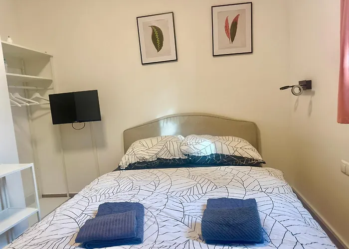 Cosy Budget Daire Viyana